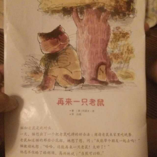 再来一只老鼠