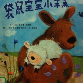 【添妈讲故事】《袋鼠宝宝小羊羔》/［英］戴安娜·金普顿