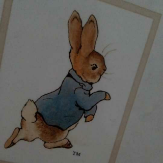 《比得兔的故事》