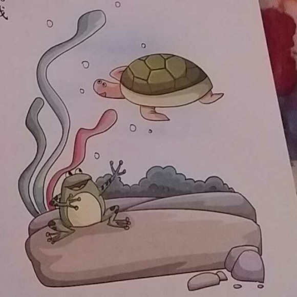 2016年6月13日(蛤蟆夜哭)