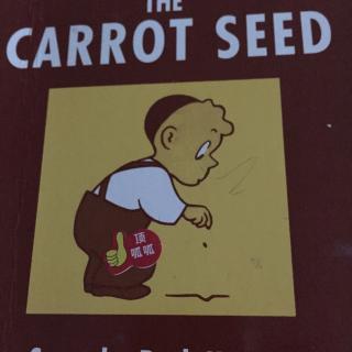 The carrot seed