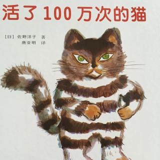 活了100万次的猫