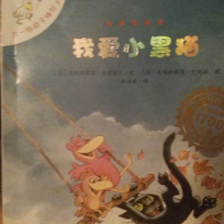 我爱小黑猫