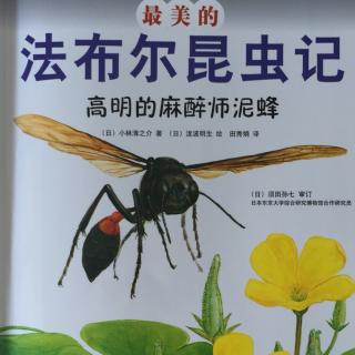 最美的法布尔昆虫记02：高明的麻醉师泥蜂