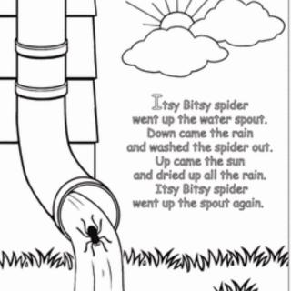 Itsy Bitsy Spider