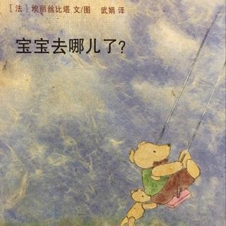 儿童绘本58: 宝宝去哪儿了？