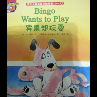 Bingo wants to play