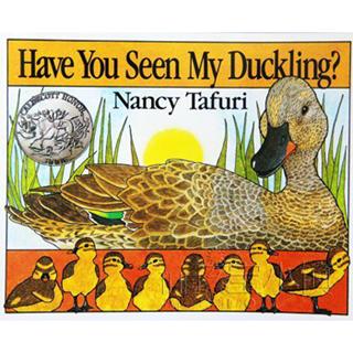 11-Have You Seen My Duckling？ （reading2）