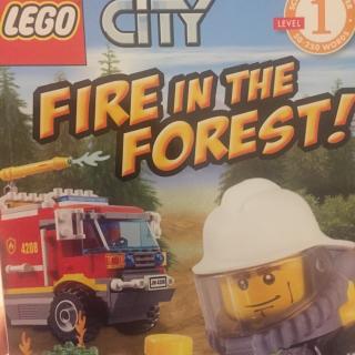 Fire in the forest！