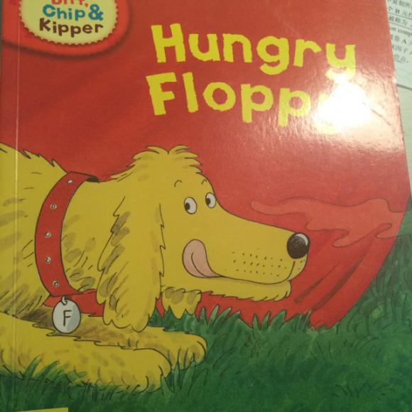 hungry floppy