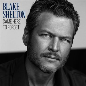打开app收听 00:00 00:00  36 上一期:country on the radio_blake