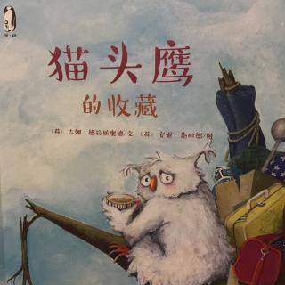 中文绘本《猫头鹰的收藏》