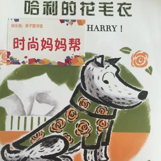 《哈利的花毛衣》