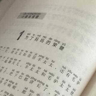 唏哩呼噜当保镖｛1｝为了妈妈的荣誉