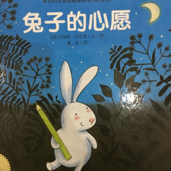 兔子的心愿