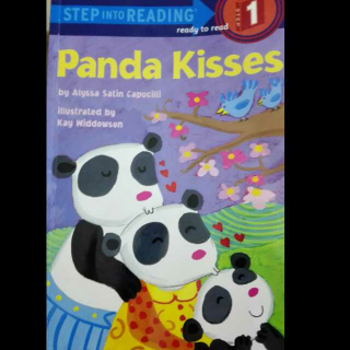 Panda  kisses2