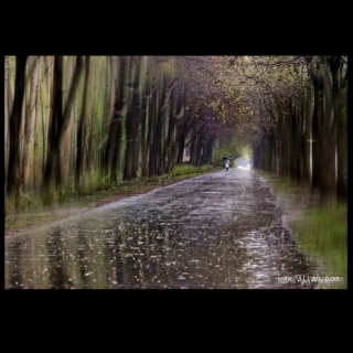 【栋栋讲故事】   躲雨