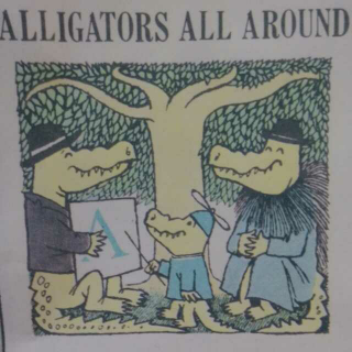 Alligators all around