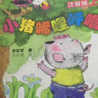 小猪唏哩呼噜:小猪当保镖5