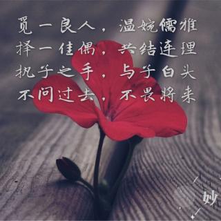 静待花开-等待