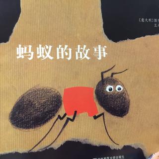 蚂蚁的故事（东娃6）