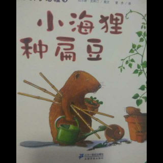 小海狸种扁豆