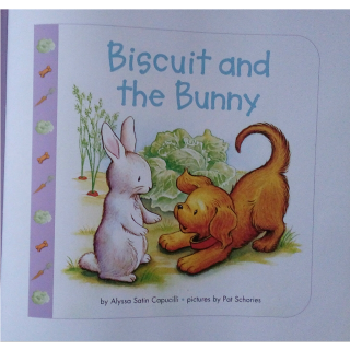 10 Biscuit and the bunny