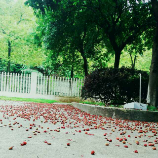 小纸伞 遮雨也遮月光