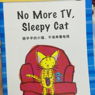 No More TV,Sleepy Cat