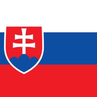 欧洲杯之斯洛伐克