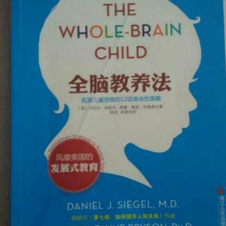 全脑教养法 第1章 全方位了解儿童思维的发展方式 帮孩子整合大脑