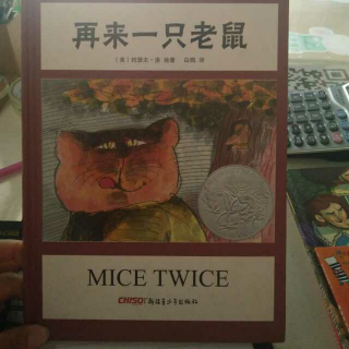 再来一只老鼠🐭