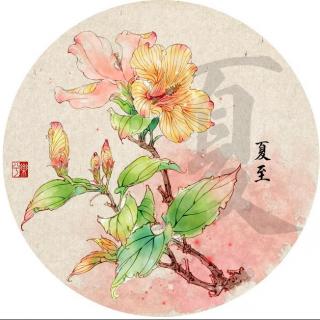 聆听节气：夏至  阿贝妈妈