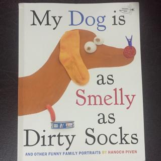 My Dog is as Smelly as Dirty Socks   Amy辰