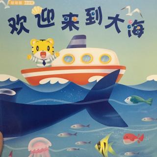 欢迎来到大海