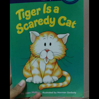Tiger is a scaredy cat  一只名叫老虎的胆小猫