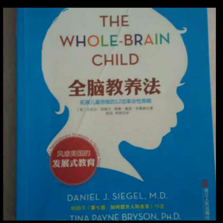 全脑教养法 第2章 改善孩子的情绪整合左右脑(上)