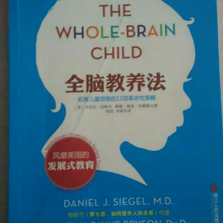 全脑教养法 第2章(下) 全脑教养指南(帮助孩子整合左右脑)