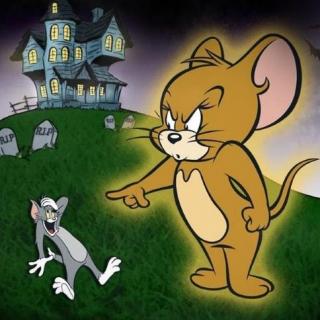 世界真奇妙：小猫被老鼠追着跑 网友大呼“猫界耻辱”