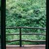 英语散文《窗外的风景 the View Outside My Window》