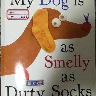 my dog is as smelly as dirty socks