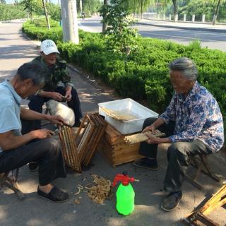 感悟人生之坚信未来更美好