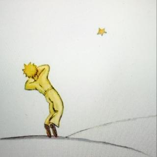 Under One Small Star (by Wisława Szymborska)