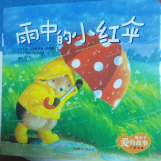 春蕾老师讲故事—雨中的小红伞