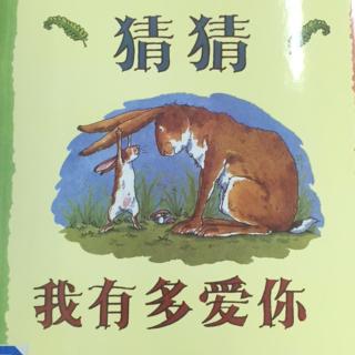 猜猜我有多爱你🐰🐇