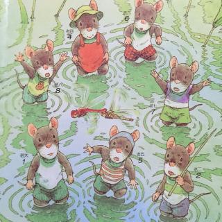 🐭14只老鼠的蜻蜓池塘🐭🐹🐹🐸🍀🍀