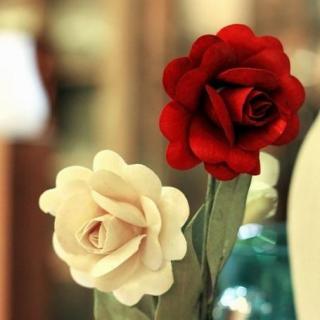 你是想选红玫瑰还是白玫瑰