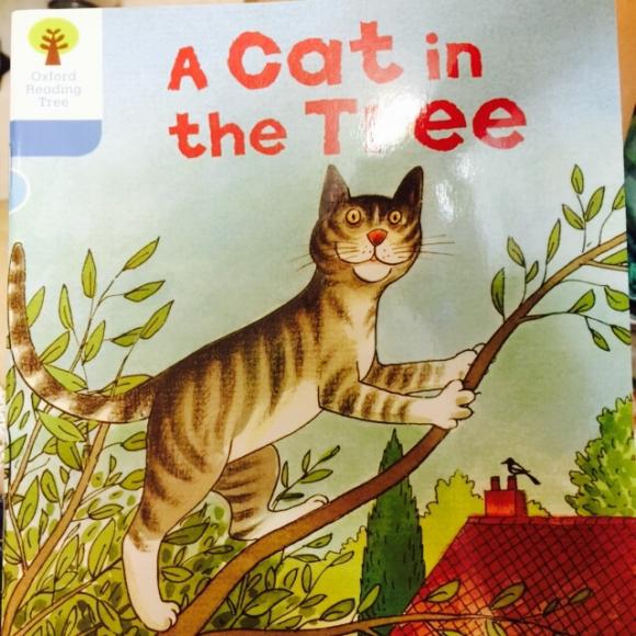a cat in the tree