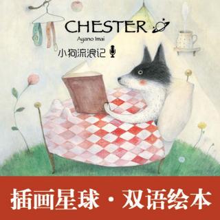 家，无关大小，温暖就好《Chester》（插画星球主播：甜瓜）