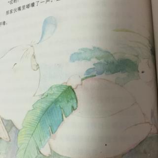 故宫里的大怪兽·御花园里的火车站--7.喝醉的玉兔